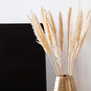 La Sepia - Superbe Vieux Apartment